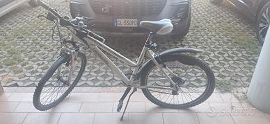  bicicletta marca Lombardo