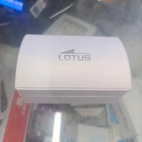 scatola Lotus per orologi Nuova 