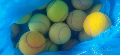 palline da tennis usate 