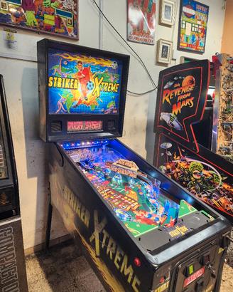 flipper stern Striker Xtreme 