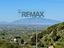 Immagine 26