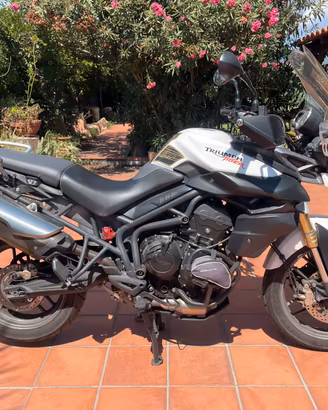 Triumph 800 Tiger