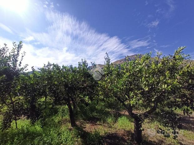 TER. AGRICOLO A PALERMO