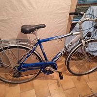 Atala Discovery