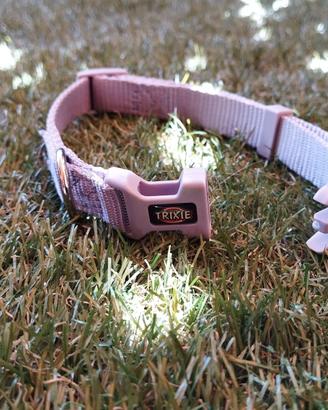 Collare Trixie per cani piccoli