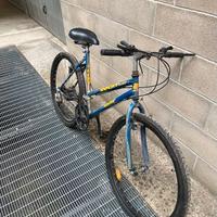 Mountain Bike Donna 28"
