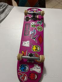 Skate globe