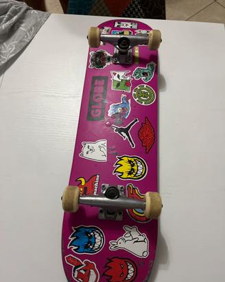 Skate globe