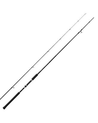 SALTY ADVANCE shore jigging s96mh