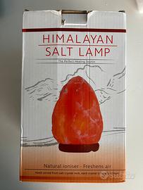 Lampada di sale dell’Himalaya Nuova