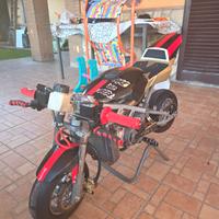 Altro Altro modello - 2023