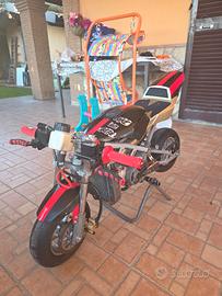 Altro Altro modello - 2023