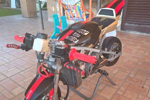 Altro Altro modello - 2023