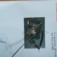 FERNANDO MELANI CATALOGO 1990