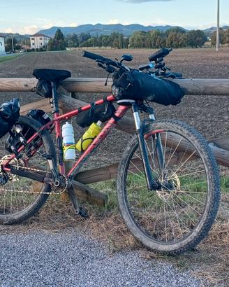 Mountain bike MTB Grand Canyon AL taglia L