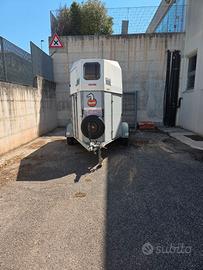 RIMORHIO VAN PER 2 CAVALLI