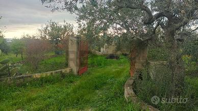 Terreno - Chiaramonte Gulfi