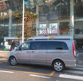 Mercedes-Benz Viano con rampa Movia removibile