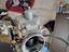Immagine 1