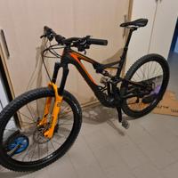 Specialized stumpjumper