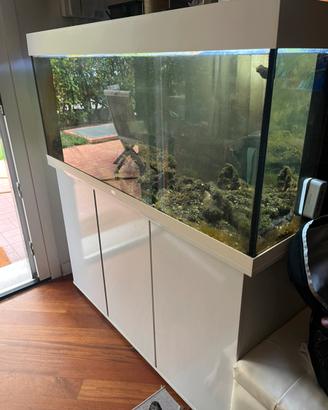 Acquario juwel 240 con mobile