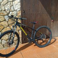 bicicletta lombardo 29.