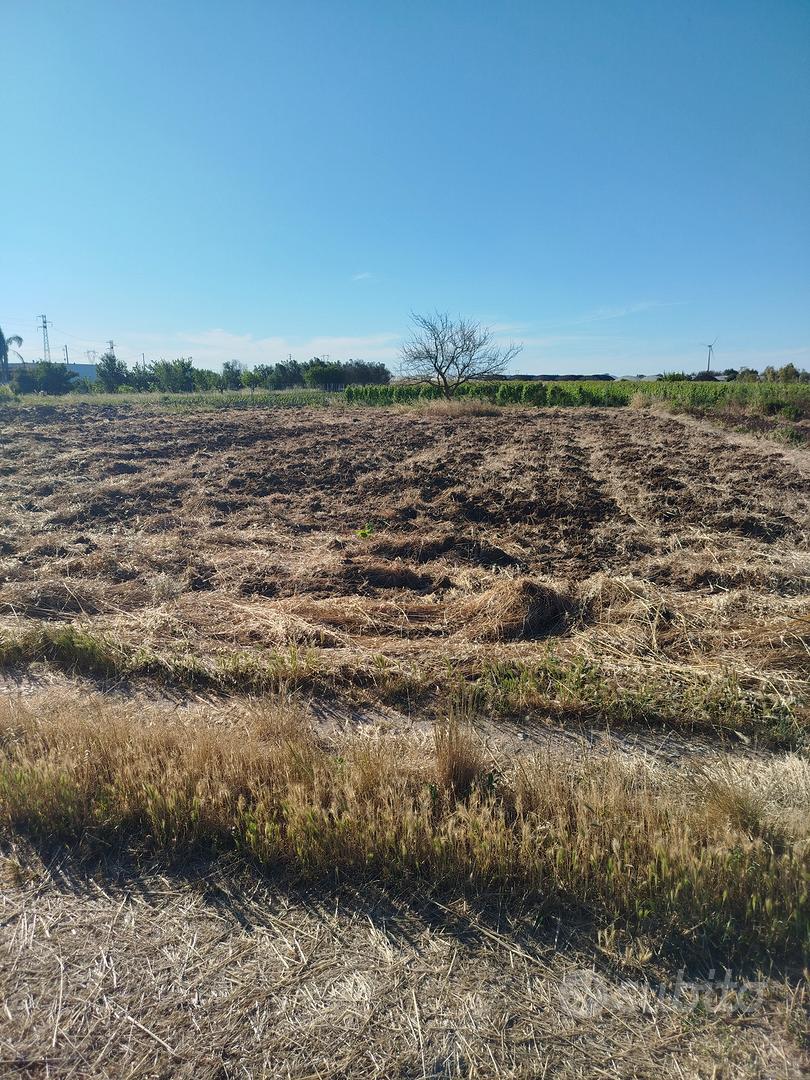 Terreno Agricolo - Vista 2