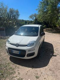 Fiat panda 2017