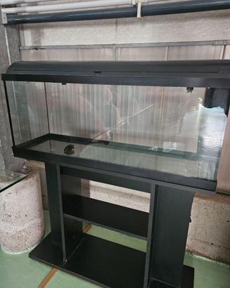 Acquario con mobile