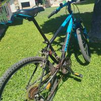 bicicletta junior