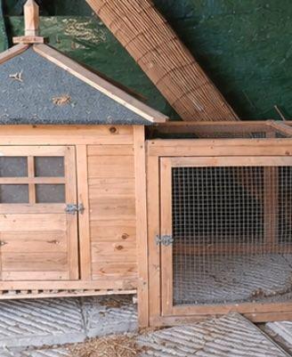 Pollaio in legno con casetta, nido e recinto