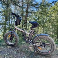 Smartway M1 Plus E-bike Fat Bike