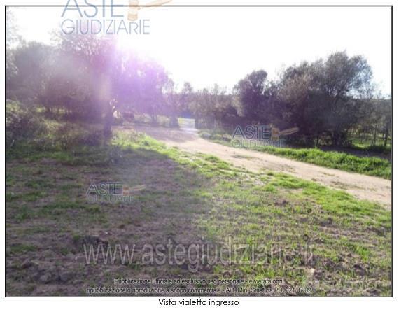 Terreno Agricolo Olbia [A4348493] - Vista 2