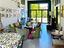 Immagine 26