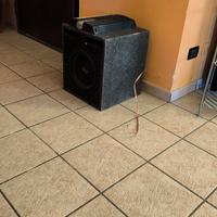 Subwoofer 300wat più cavi RCA
