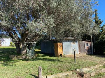 Terreno vista mare circa 1500mq con annessi