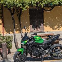 Kawasaki Z 650 2020 Perfetta