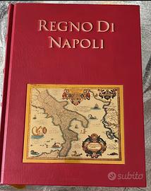 Il regno di Napoli, Omnia arte Aurelio Musi 2010