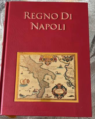 Il regno di Napoli, Omnia arte Aurelio Musi 2010