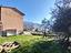 Immagine 17