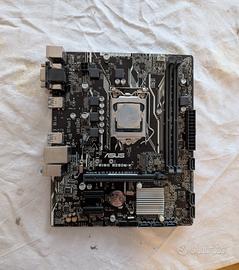 Scheda madre Asus prime b250m-k + CPU i3 7100 3.9