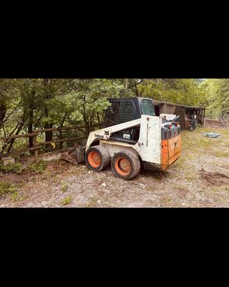 Minipala bobcat 753