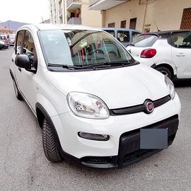 Fiat panda 1.0 - 2023