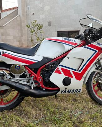 Yamaha RD 350 LC YPVS conservata ASI targa oro
