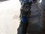 Immagine 2