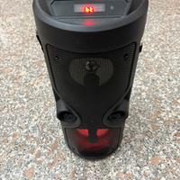 Cassa bluetooth + microfono