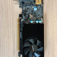 Scheda Video Nvidia GeForce GT1030 2Gb