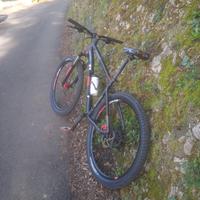 MTB rock rider 