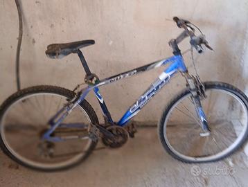 Bicicletta