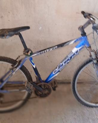 Bicicletta